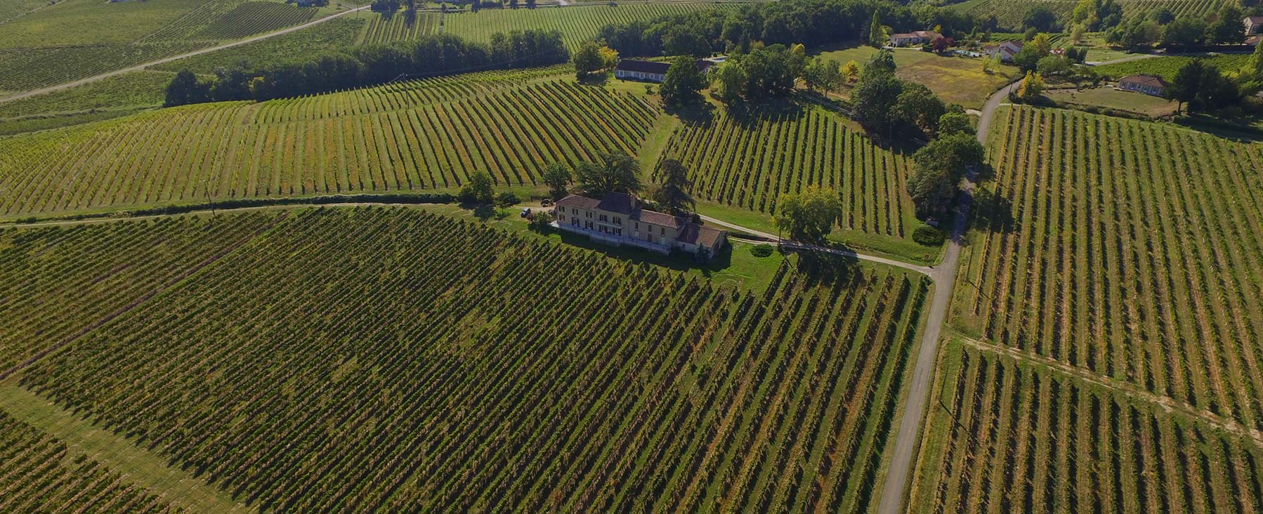 presentation vignobles lajonie vente de vins Monbazillac, Bergerac et Pécharmant